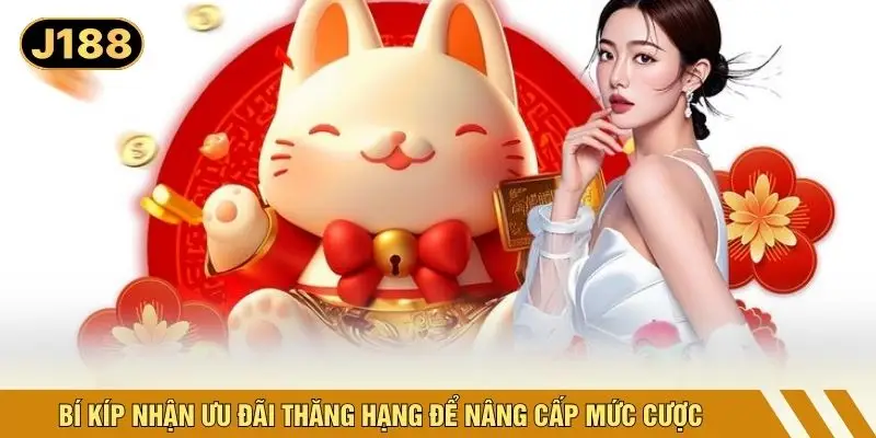 Bí kíp nhận ưu đãi thăng hạng để nâng cấp mức cược